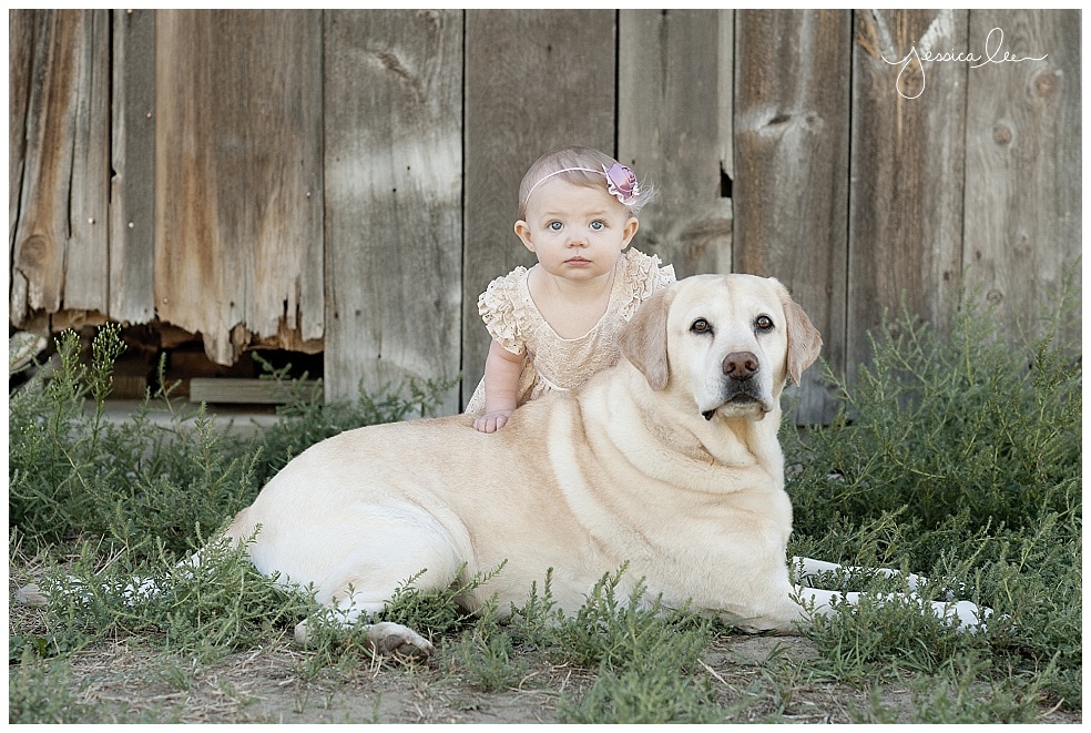 Family Photographer Denver, baby with pet dog