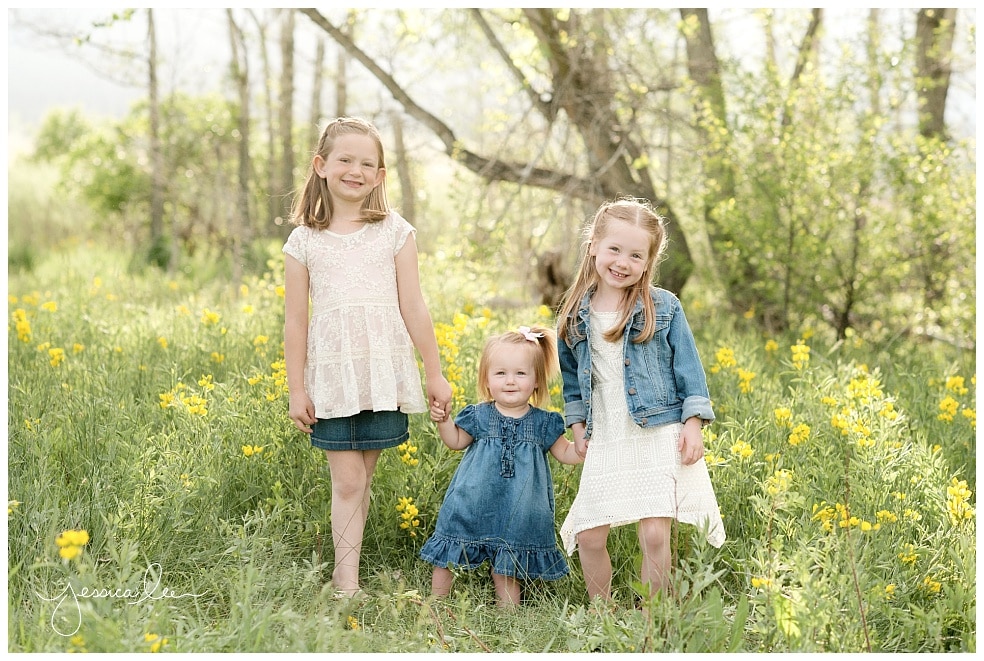 Louisville Colorado Family Photographer, three sisters holding hands