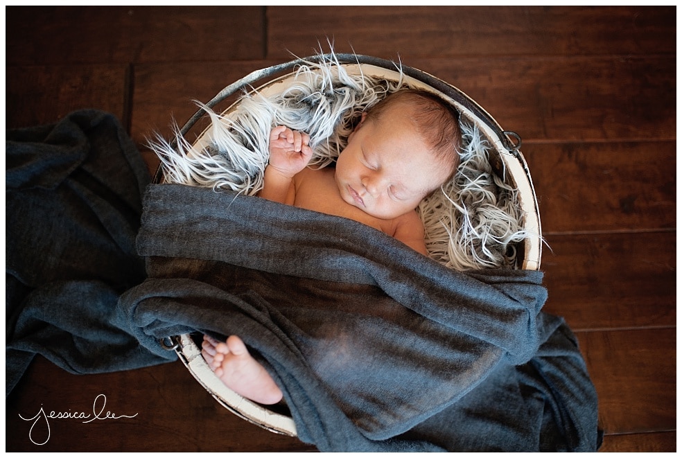 newborn photographer broomfield, baby in a bucket