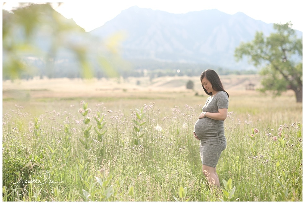 Broomfield Newborn Photographer, Jessica Lee Photography, tall grass maternity photos