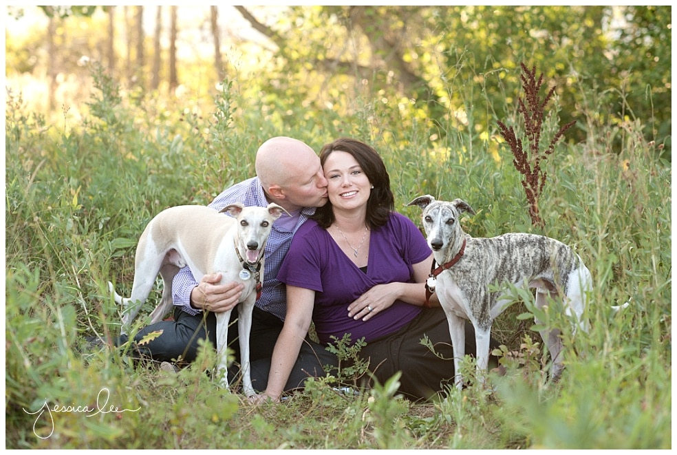maternity photo with two dogs, photographer broomfield colorado