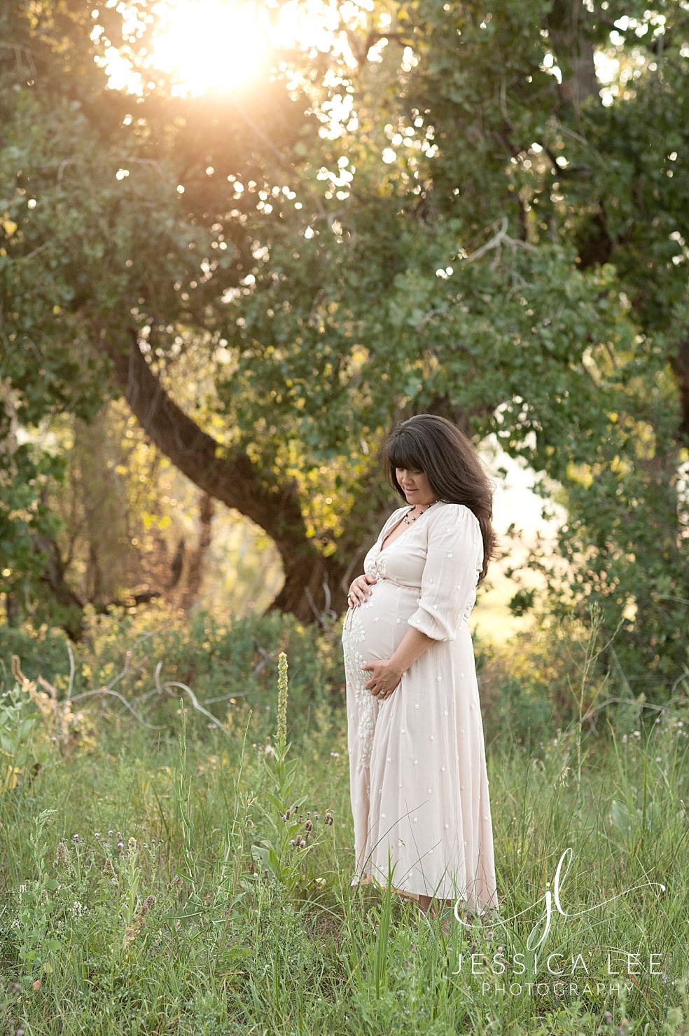 Maternity photo in Tall Grass with Sunburst | Jessica Lee Photography