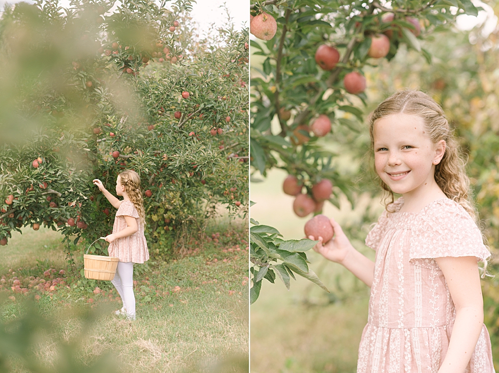 Young holding wicker basket picking apples | Photo by Jessica Lee Photography