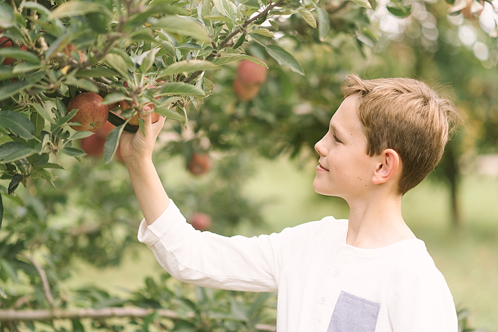 Boy in cream colored shirt picking apples | Photo by Jessica Lee Photography