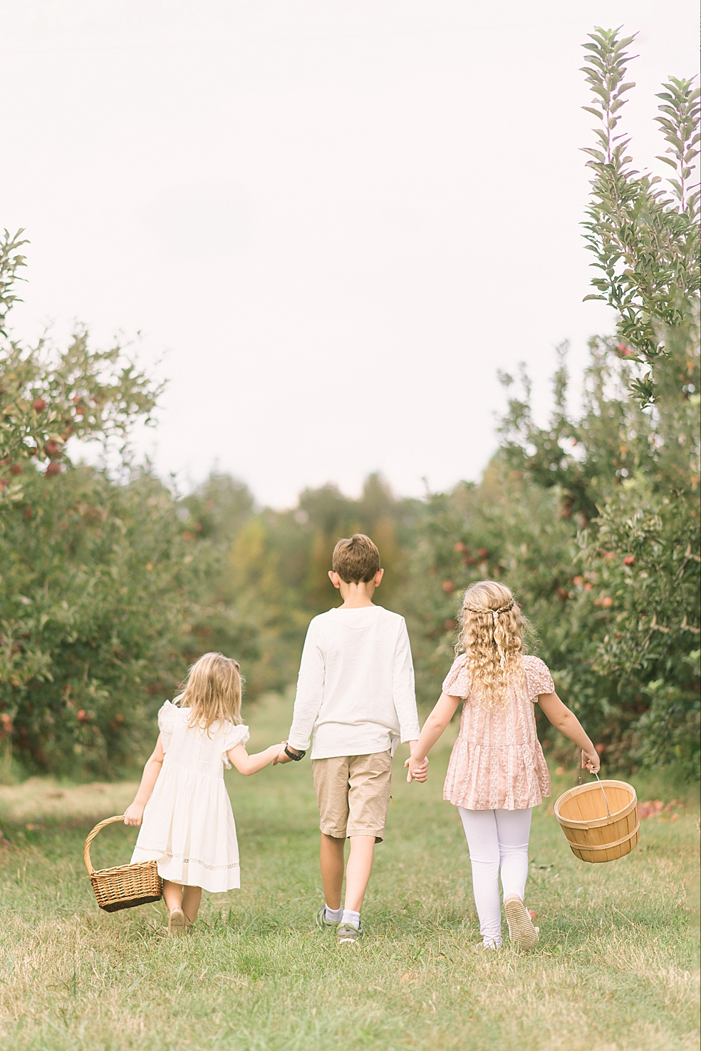 Siblings holding hands walking through an apples orchard in Huntsville | Photo by Jessica Lee Photography