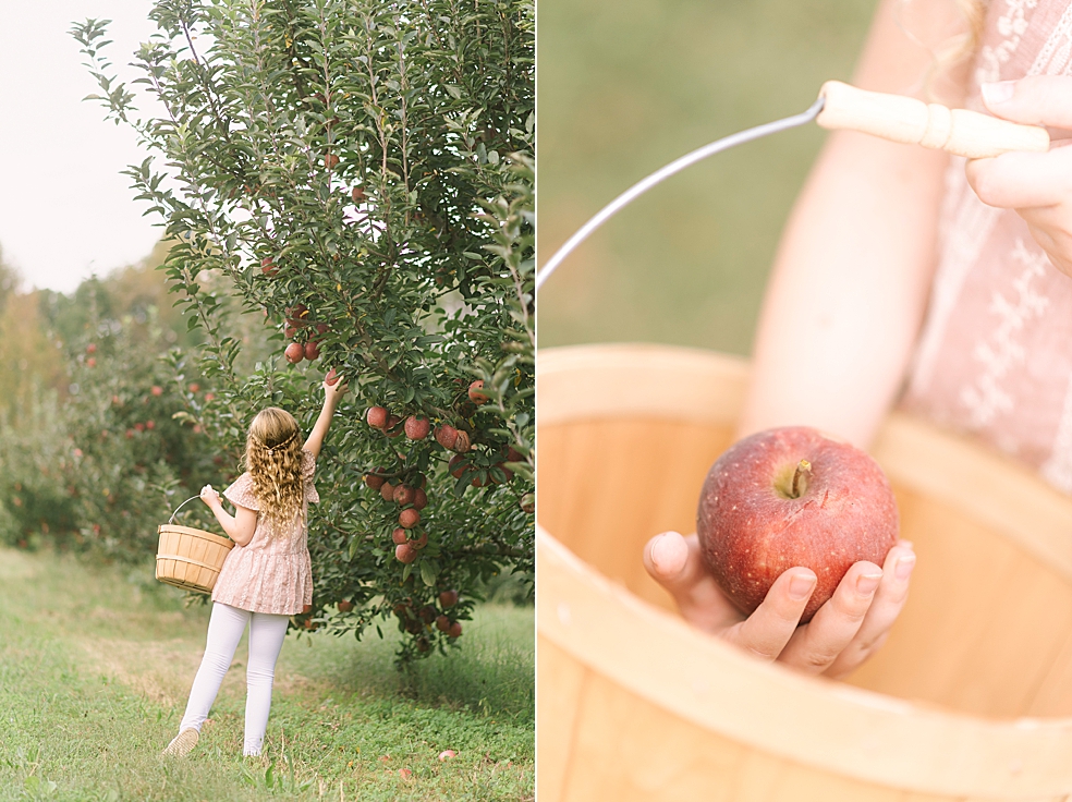 Detail photo of girl picking apples at Scotts Orchard in Huntsville | Photo by Jessica Lee Photography