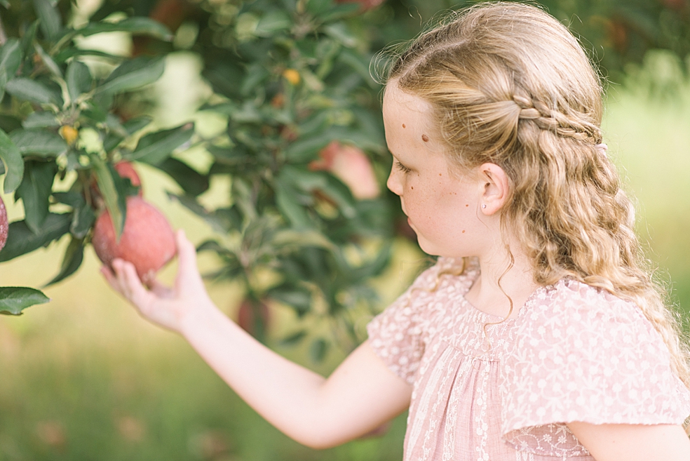 Young girl with braided hair picking apples at Scotts Orchard | Photo by Jessica Lee Photography
