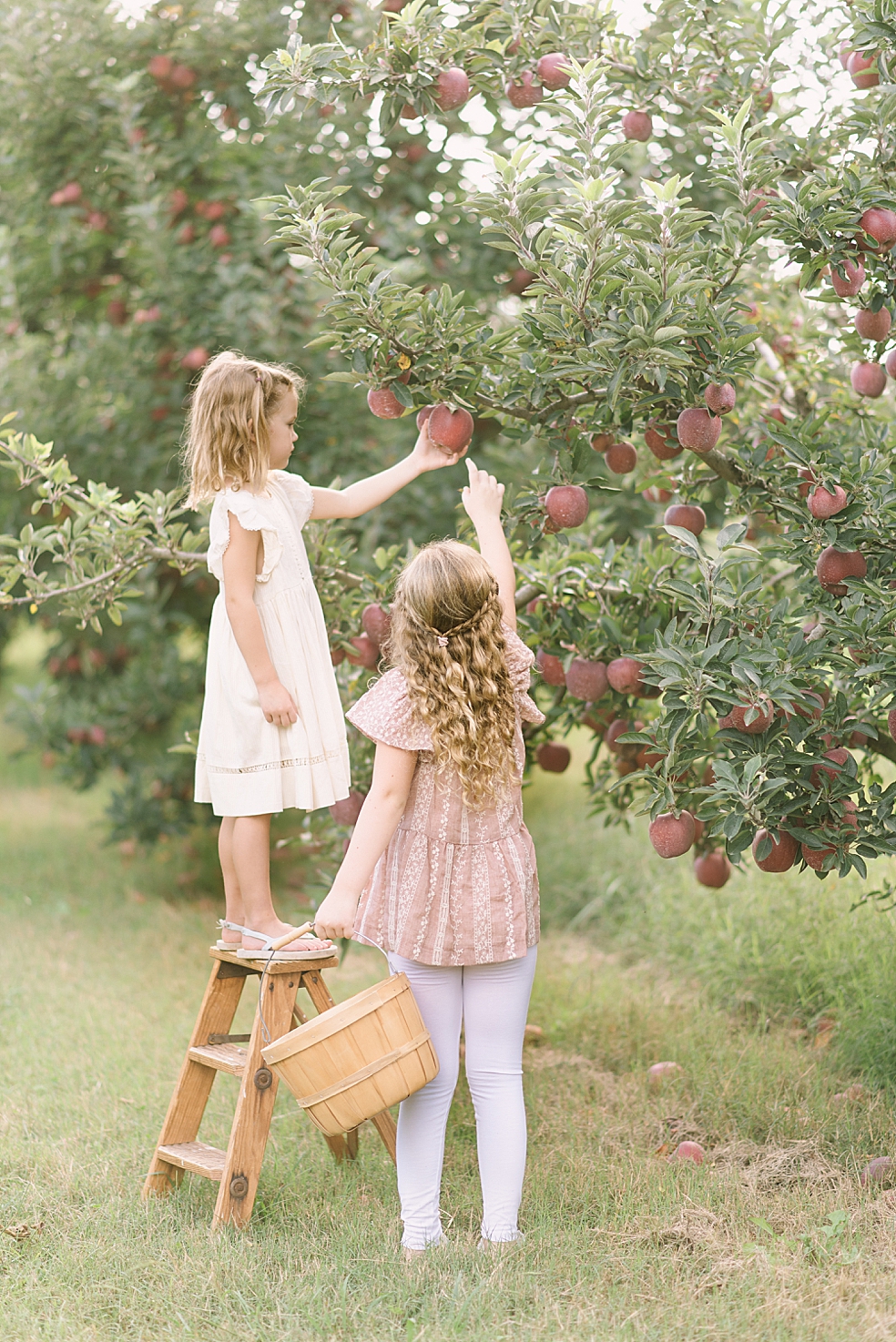 Little girls picking apples at Scott's Orchard in Hunstville | Photo by Jessica Lee Photography