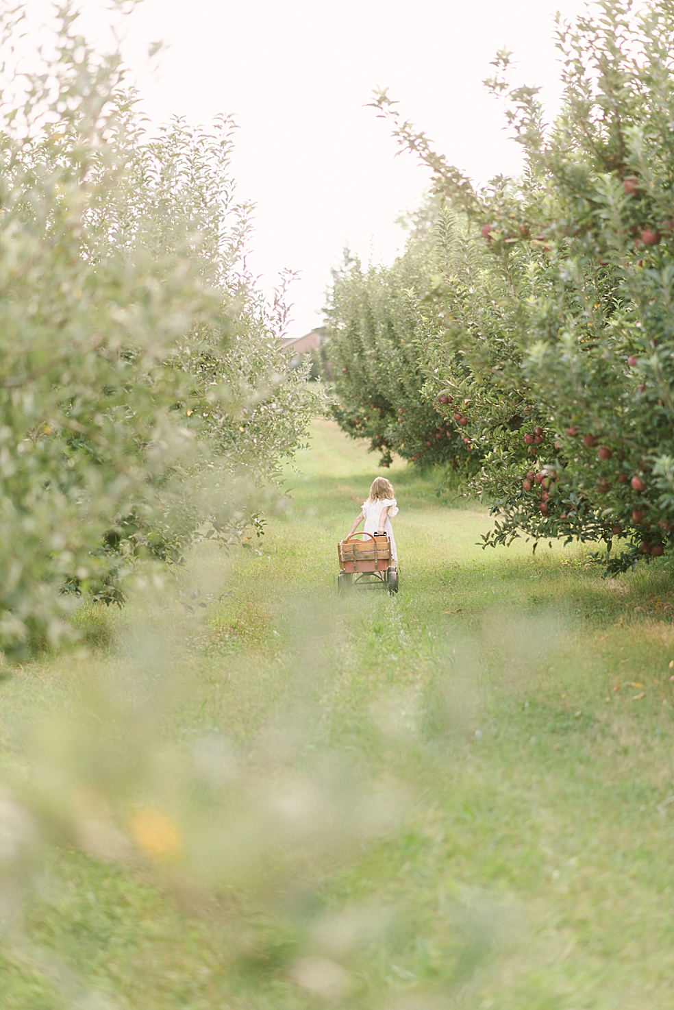 Little girl pulling a wagon through an apple orchard | Photo by Jessica Lee Photography
